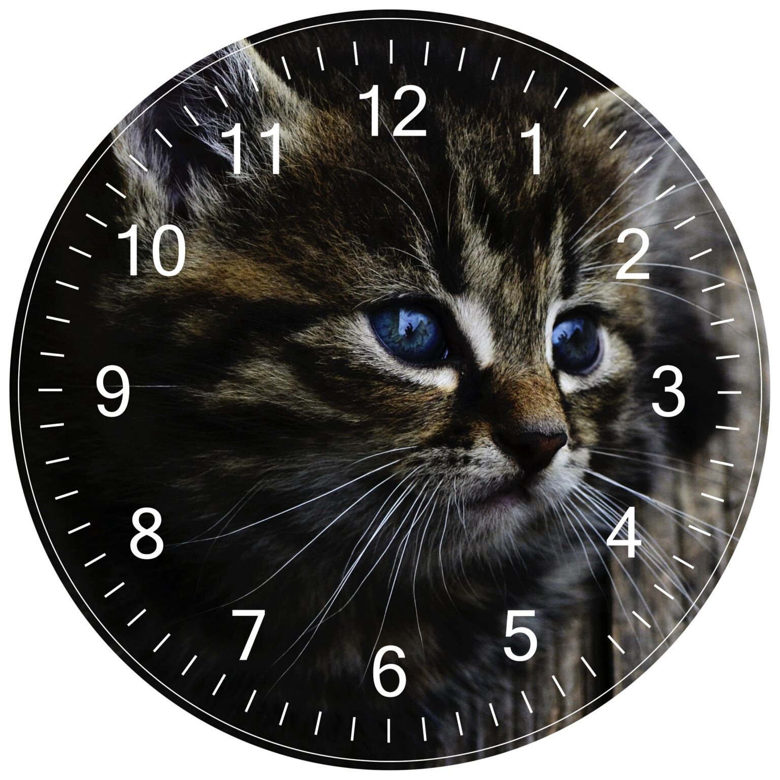 cat clock white