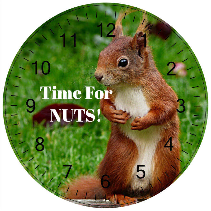 personalised squirrel clock
