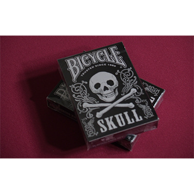 Bicycle Skull Metallic (Silver) USPCC by Gambler's Warehouse