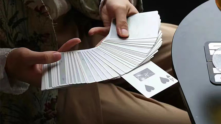 THE REVIVER V2 Playing cards